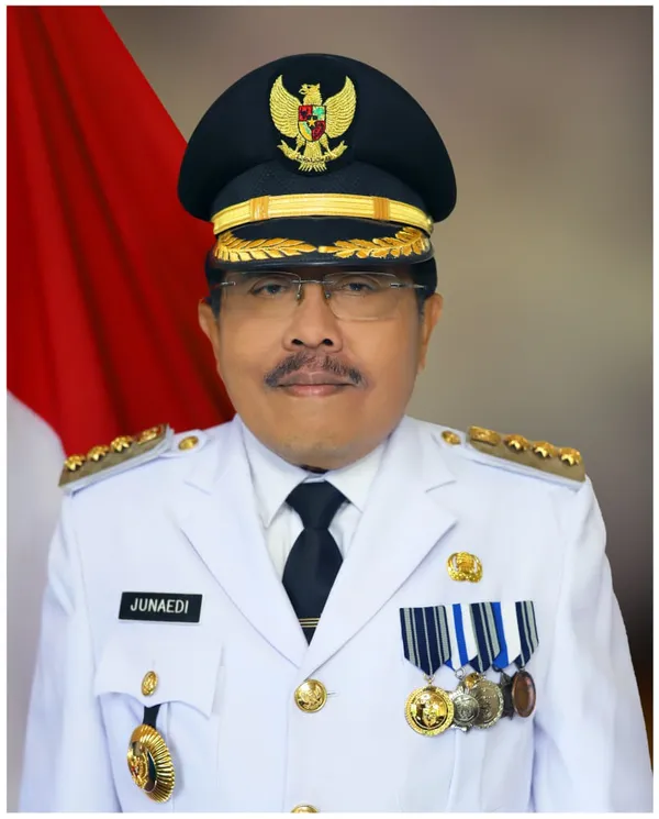 Junaedi (birokrat)